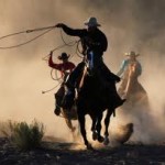 roundup