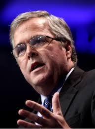 Bush