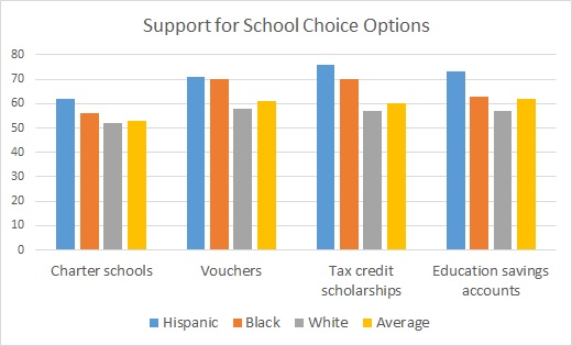 Hispanic school choice support