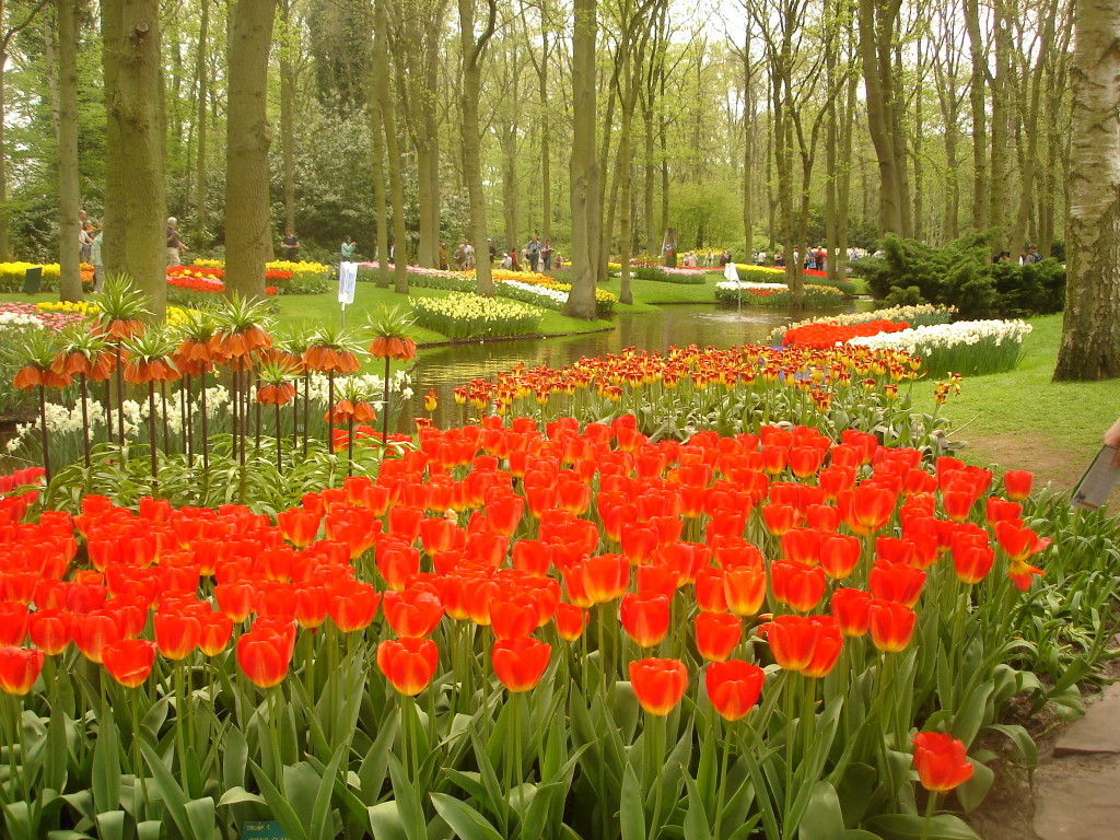 When it comes to its education system, the Netherlands decided nearly a century ago to end long-running religious strife over schools and let 1,000 flowers bloom. The Dutch system of universal school choice gives full government funding to public and private schools, including all manner of faith-based schools.